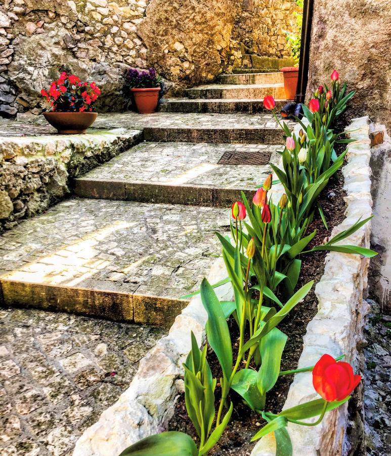 Il Borgo Antico Bed & Breakfast Rocca Massima Екстериор снимка